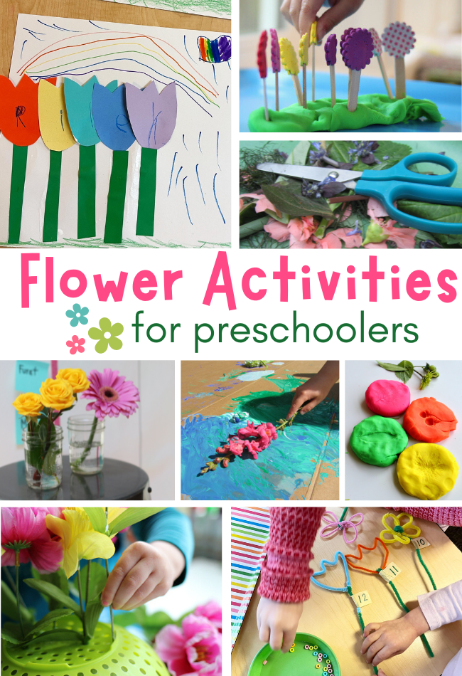 11 Flower Activities for Preschoolers - olivebabyshop.com