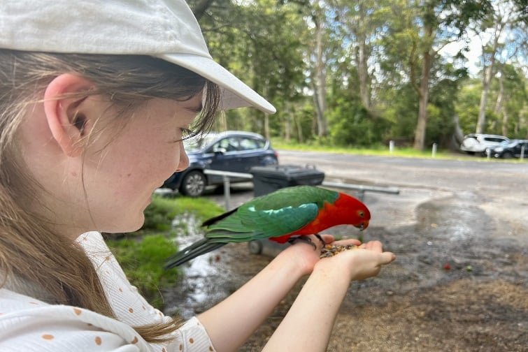 Bird Encounters Around Brisbane – Brisbane Kids