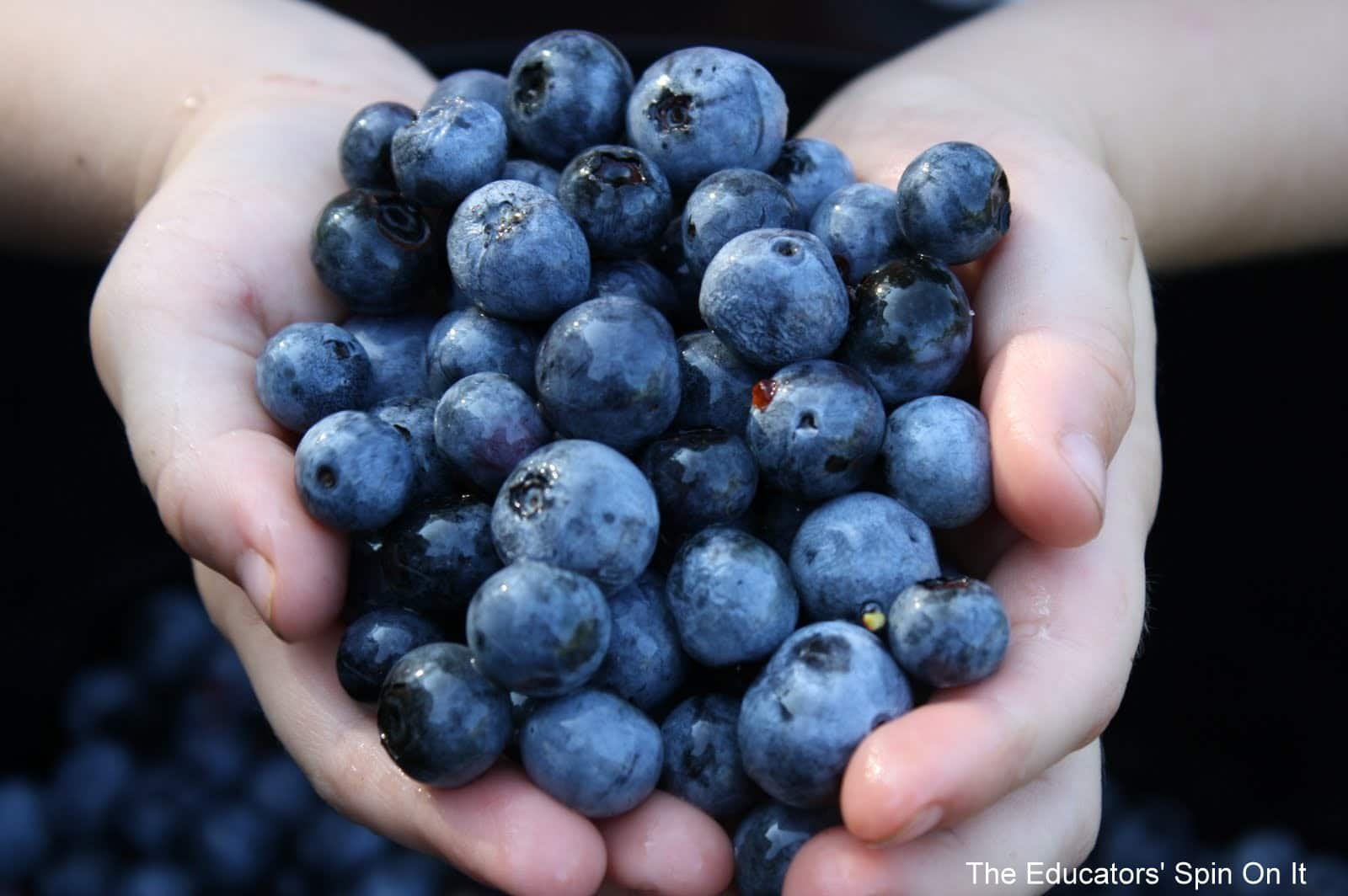 Blueberry Activities, Books, And Recipes