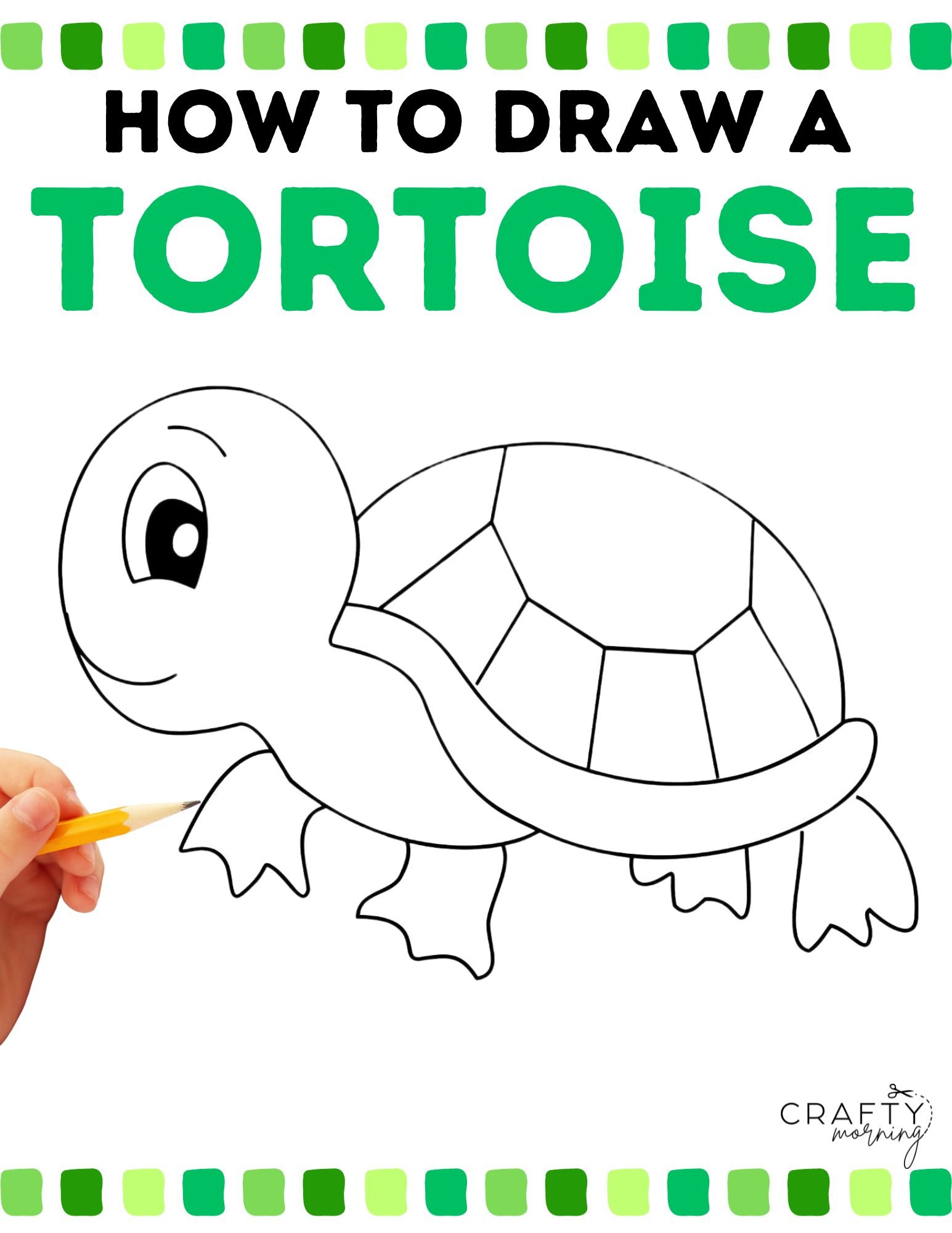 Drawing a Tortoise (Step by Step Tutorial)