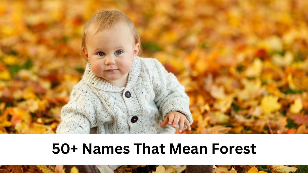 Names That Mean Forest (For Girls & Boys)