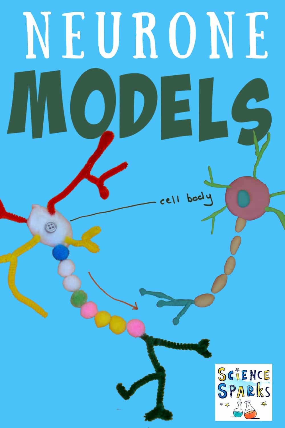 Neurone model for a science fair