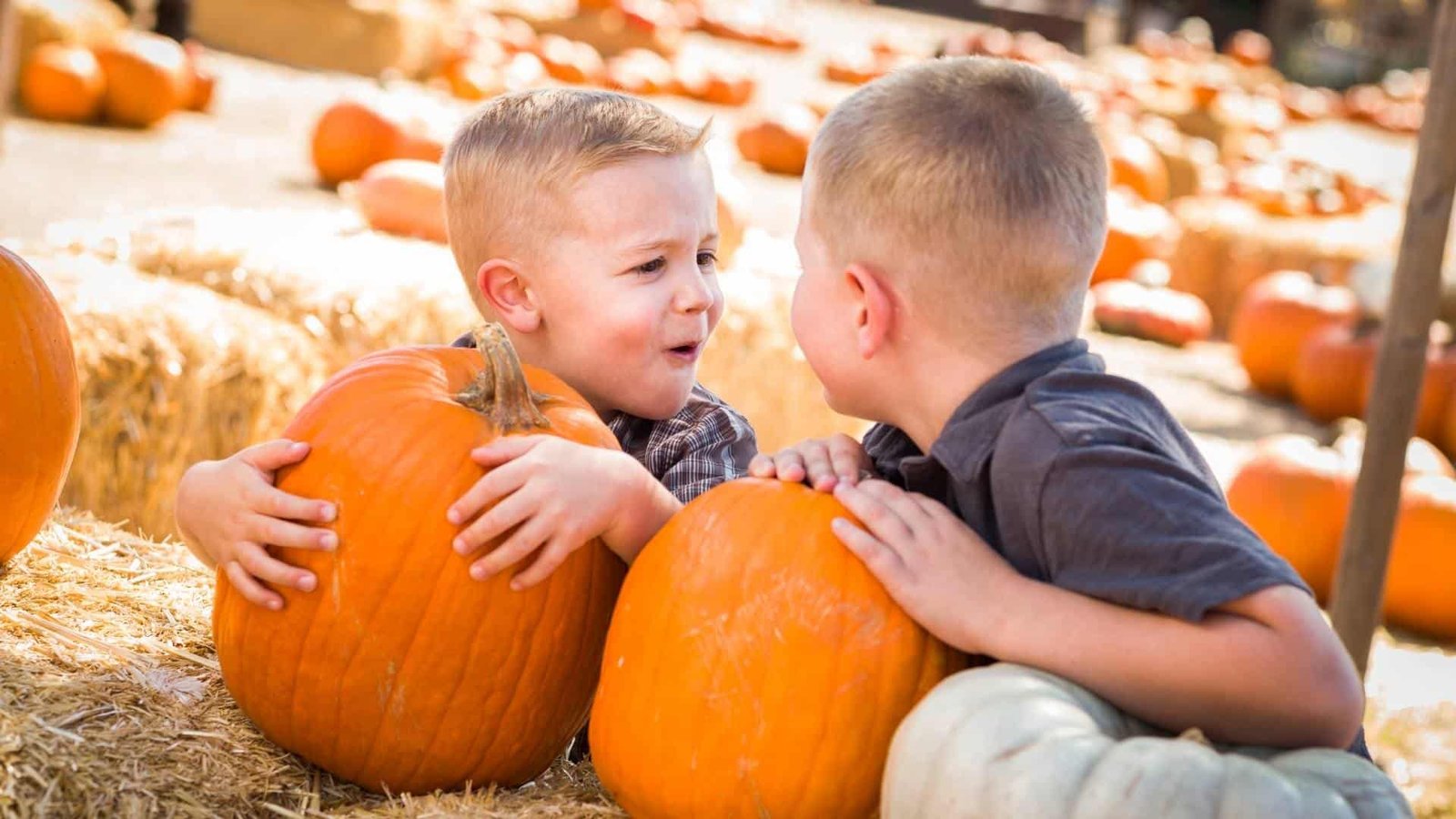 9 Great Pumpkin Patches in Las Vegas for 2024