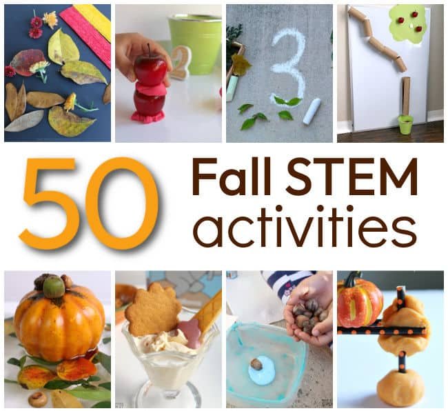 Fall STEM Activities for Kids