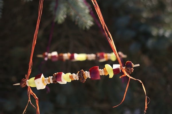 Fruit and Cheerios Bird Feeder