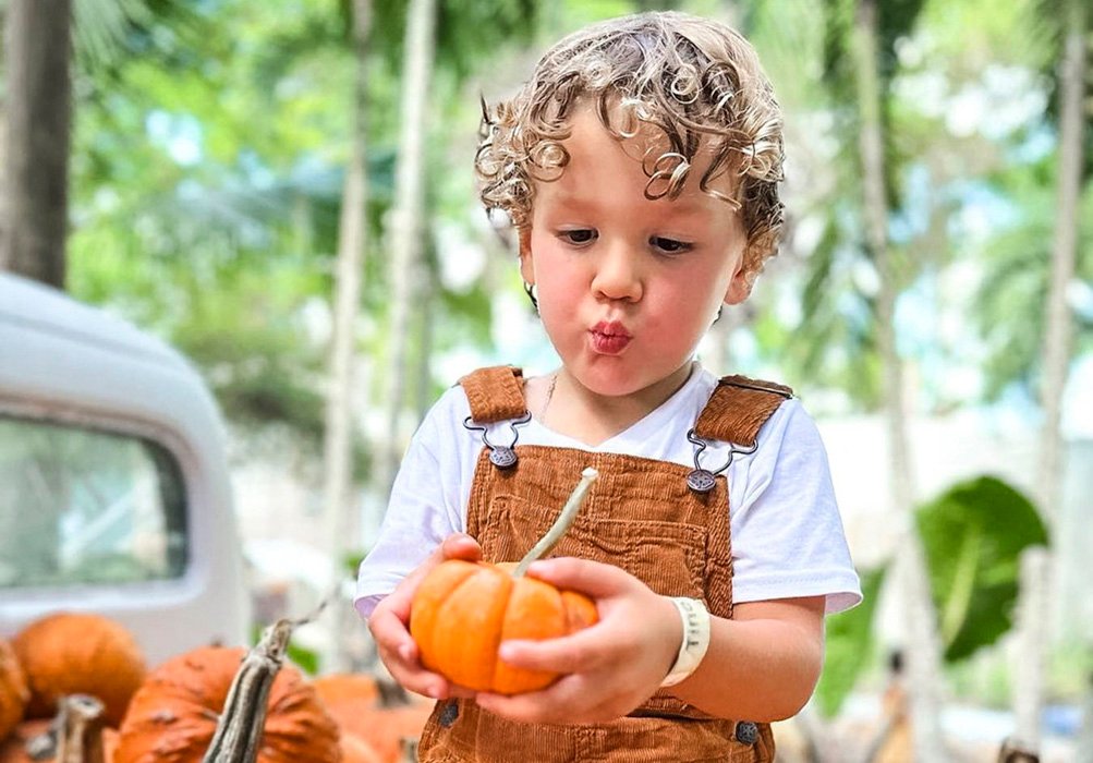 Best Pumpkin Patches Near Miami and South Florida for Fall Fun | Mommy Poppins