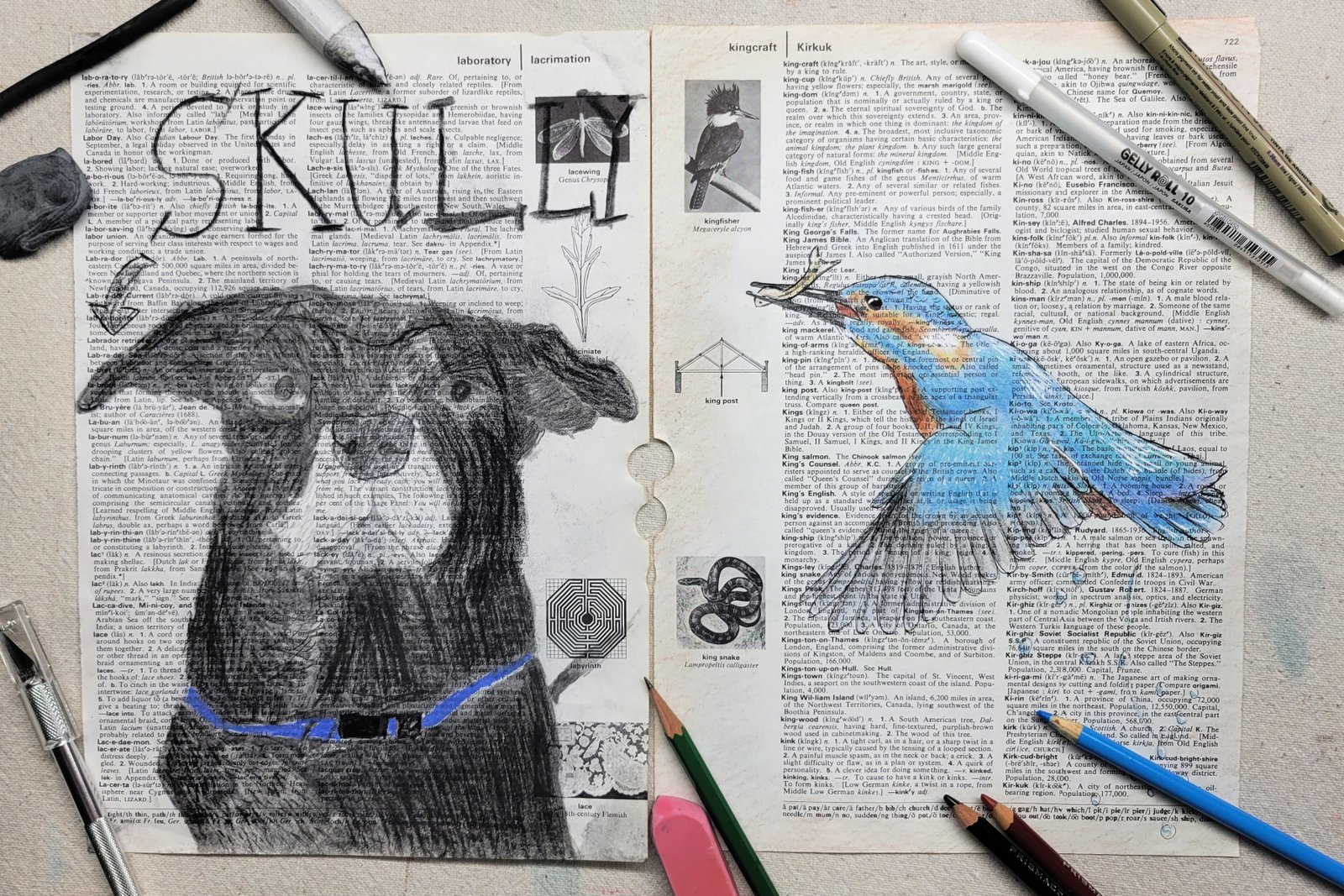 Dictionary Page Art Project for Kids • Kids Activities Blog