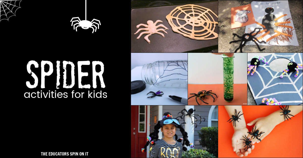 Spider Activities for School Ages