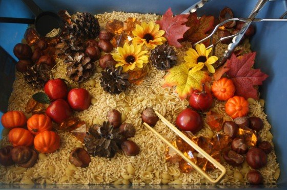 November Sensory Bin for Toddlers and Preschoolers