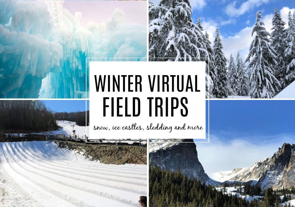 Winter Virtual Field Trips for Kids